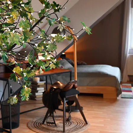 Gemuetliche Studio-ferienwohnung Im Dachgeschoss In 아파트 이세른하겐